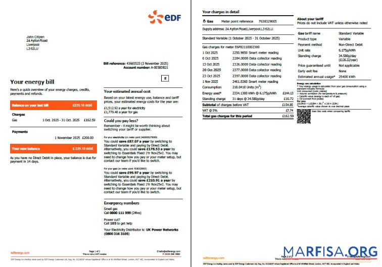 Blank France EDF utility bill template in Word and PDF formats, 2 pages